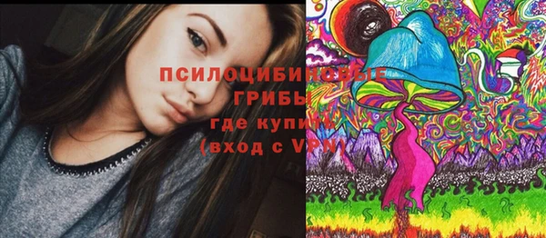 тгк Михайловка