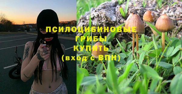 тгк Михайловка