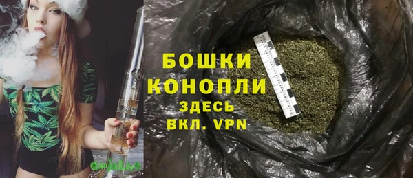 стаф Михайлов