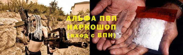 сатива Михайловск