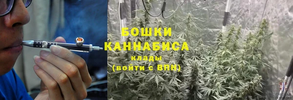 стаф Михайлов