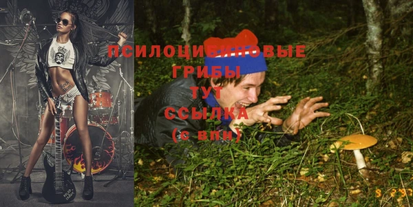сатива Михайловск