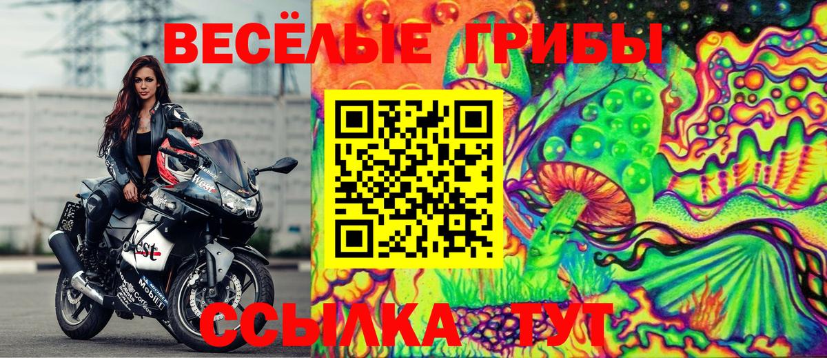 Псилоцибиновые грибы Psilocybine cubensis  Вход с VPN  Новотроицк 