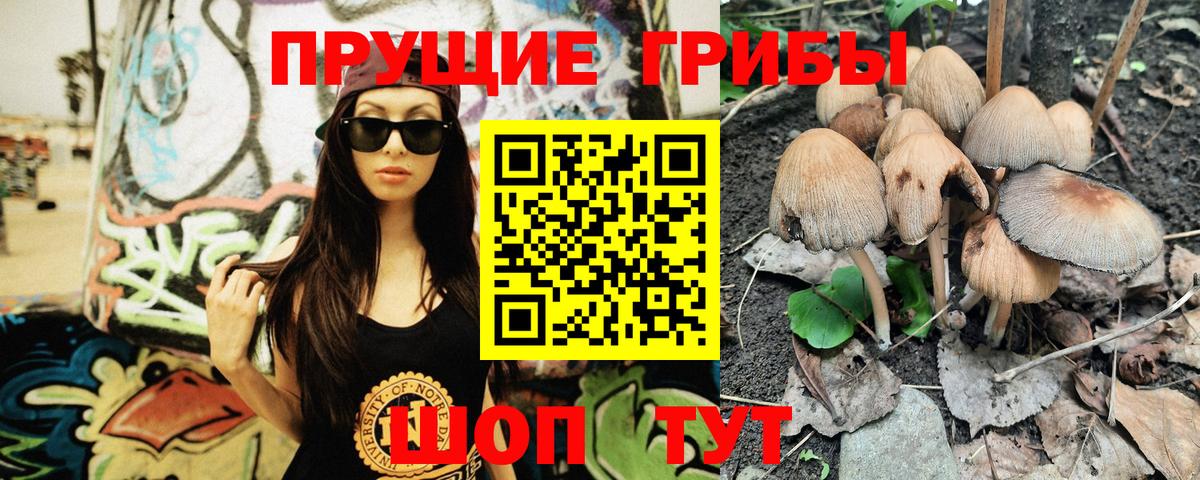 Галлюциногенные грибы Magic Shrooms Новотроицк