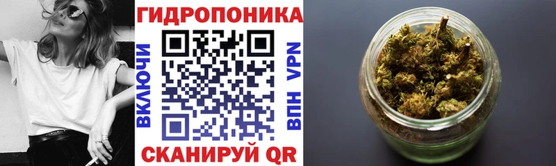 где купить   Новотроицк  Конопля ГИДРОПОН 