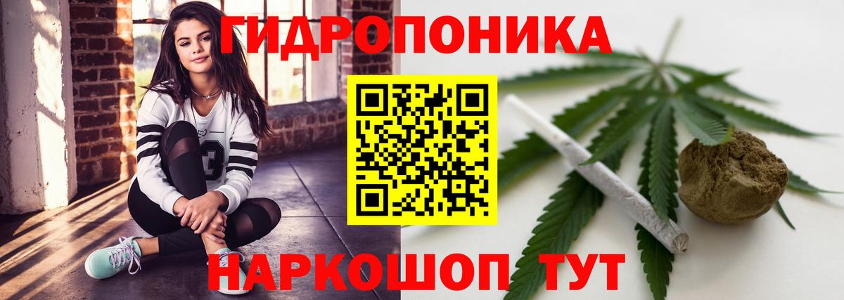 Новотроицк  МАРИХУАНА конопля  МАРИХУАНА план  МАРИХУАНА AK-47  Вход с VPN 